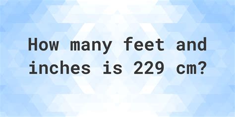 229 cm to feet|229cm to feet and inches.